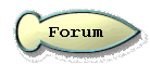 Forum 