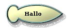  Hallo 