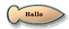  Hallo 